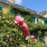 Giardino di Claude Monet a Giverny